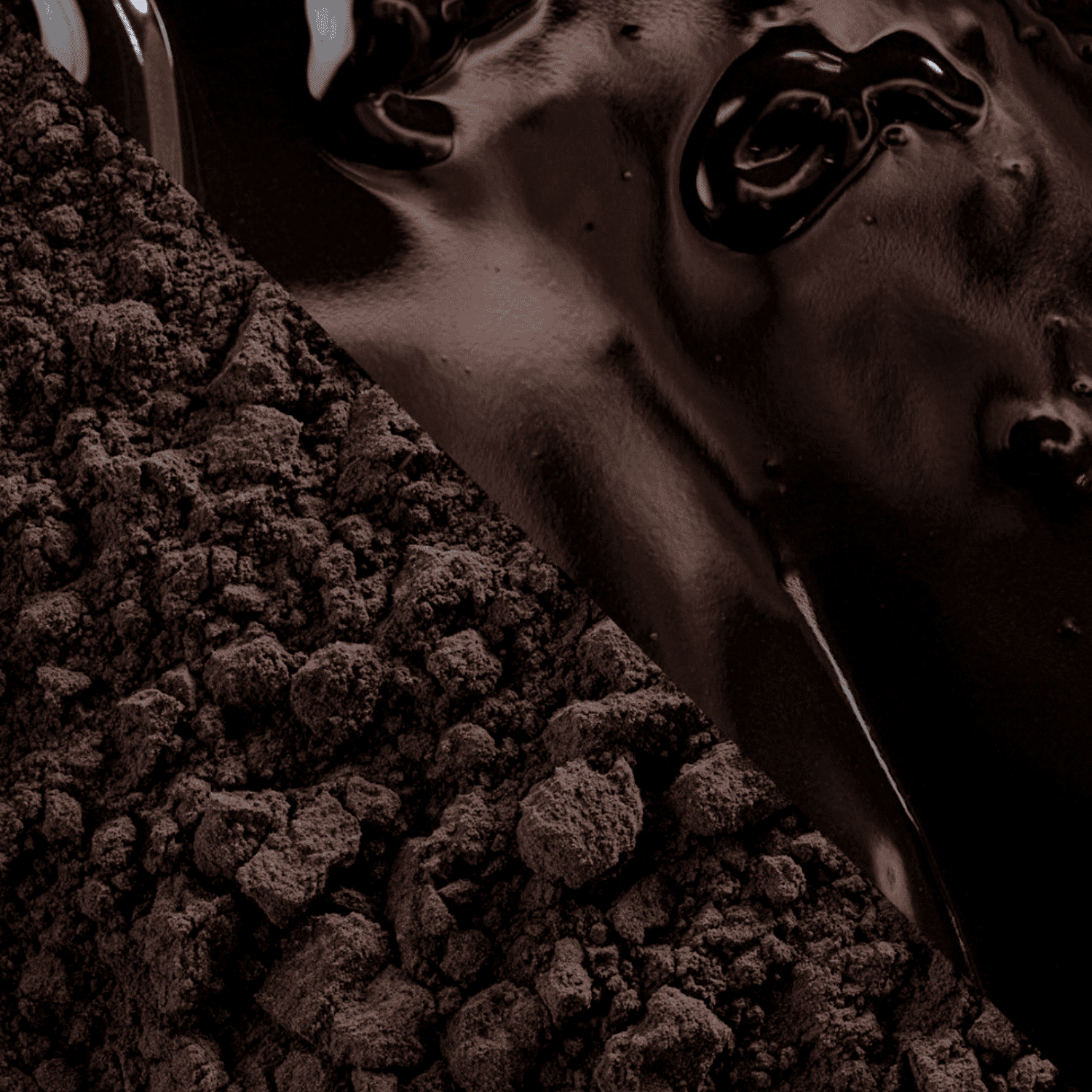 Cacao En Polvo (100 %) Cacao Barry - "noir Intense" 1 Kg 2 Cacao En Polvo (100 %) Cacao Barry - "noir Intense" 1 Kg - Imagen 2