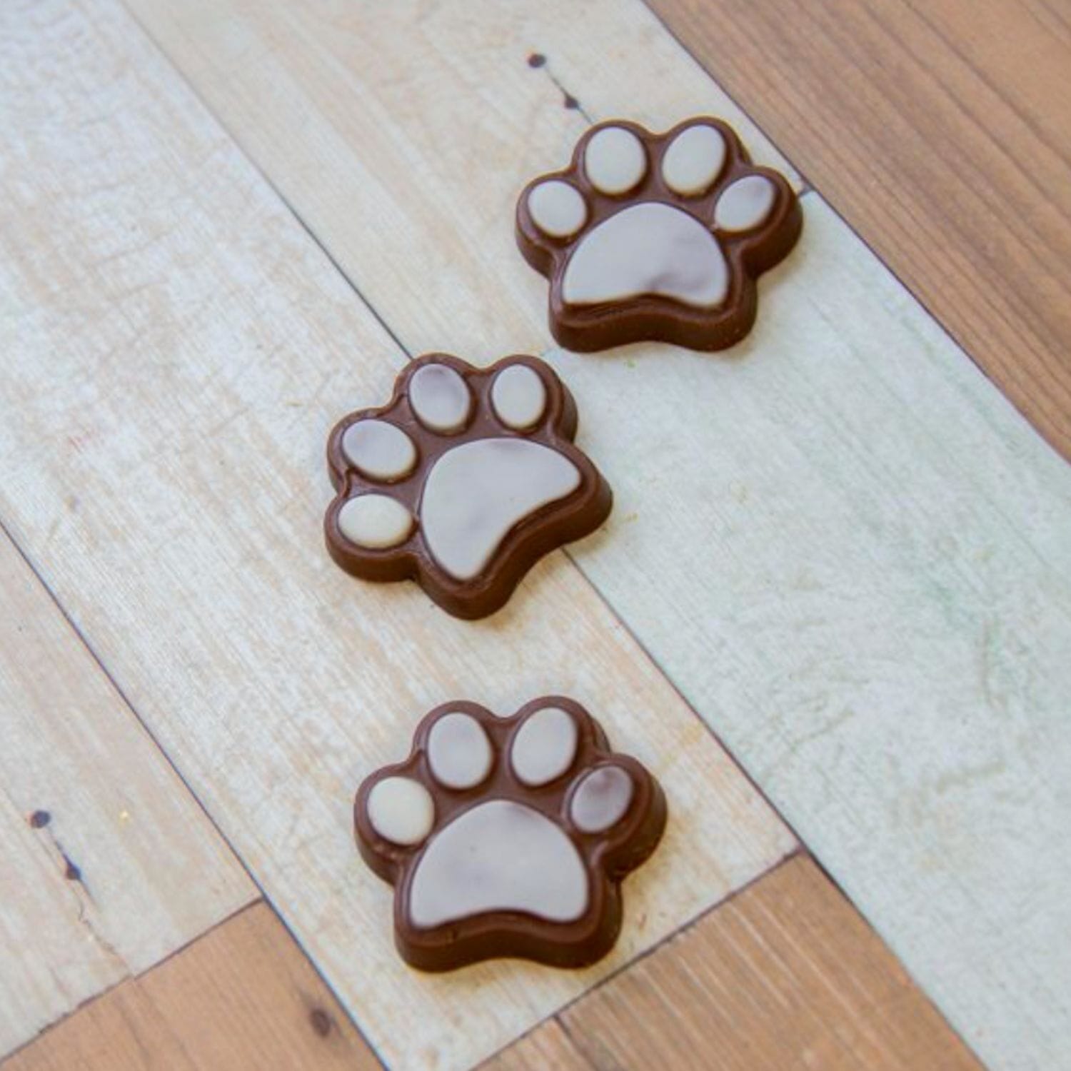 Molde Para Chocolate Bwb - Huellas De Perro 2 Molde Para Chocolate Bwb - Huellas De Perro - Imagen 2